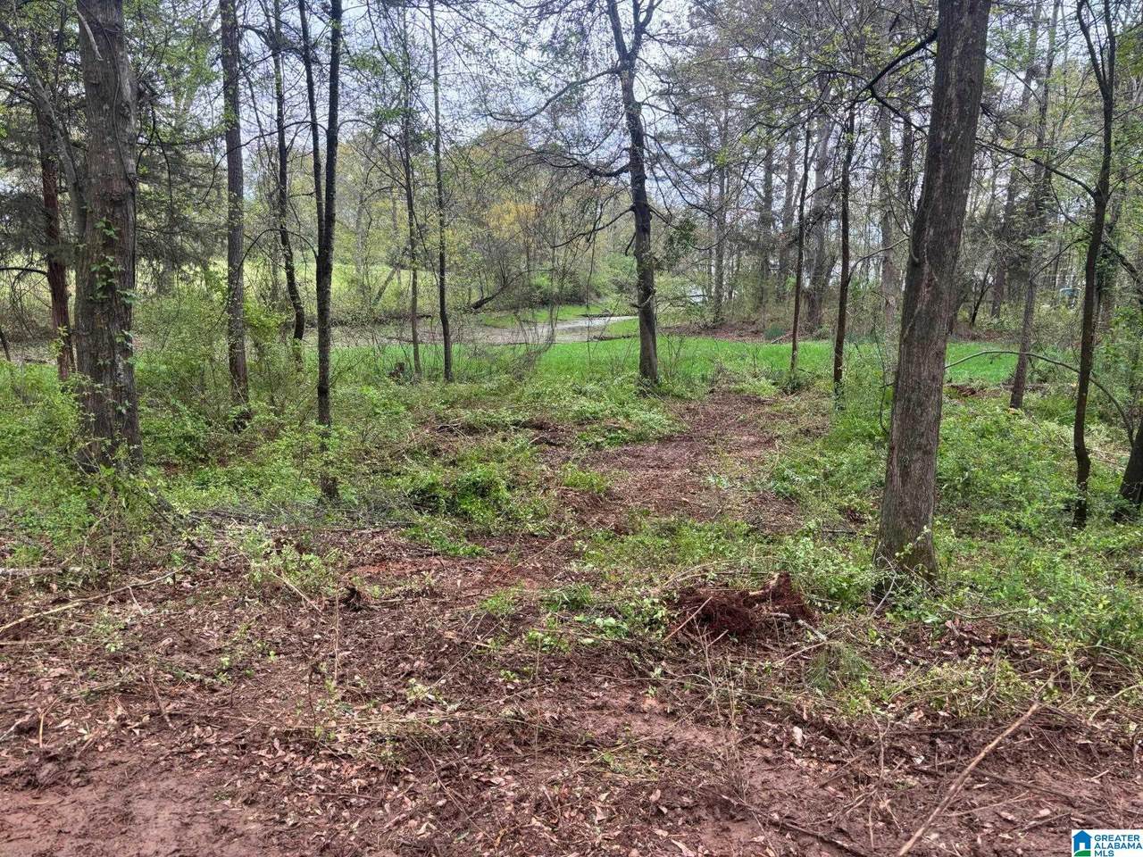 2318 Annesley Drive - Photo 1