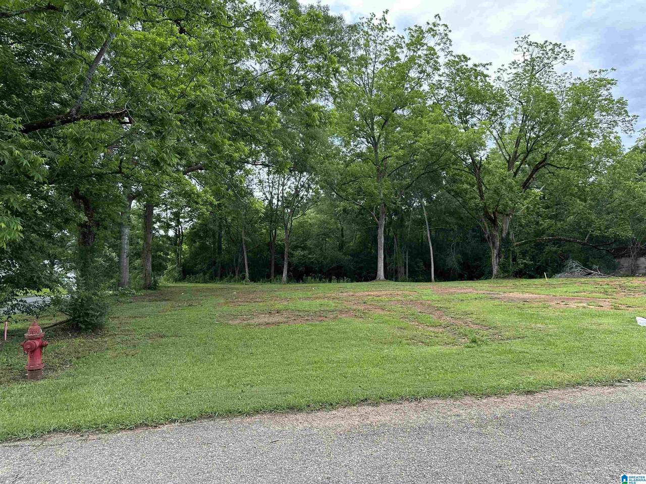 381 Ashland Avenue - Photo 1