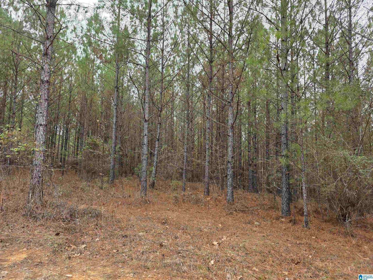 12B Highway 69 - Photo 1