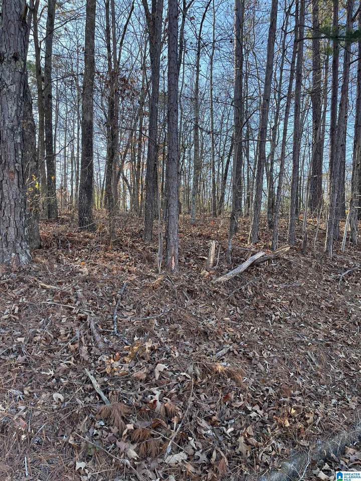 0 Comanche Trail - Photo 1