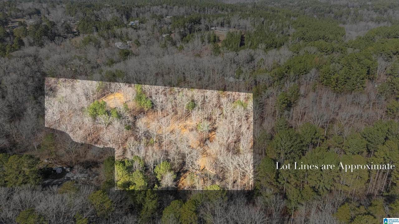 7019 Groundhog Road - Photo 1