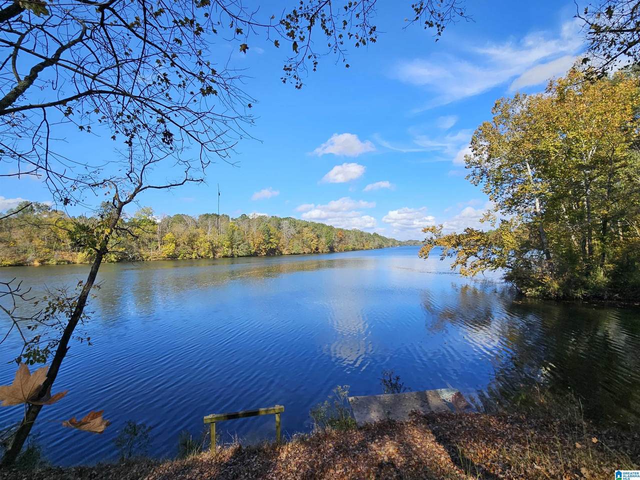 14536 Plant Road - Photo 1