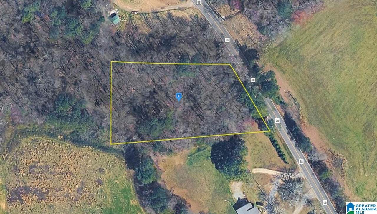 1150 County Road 88 - Photo 1