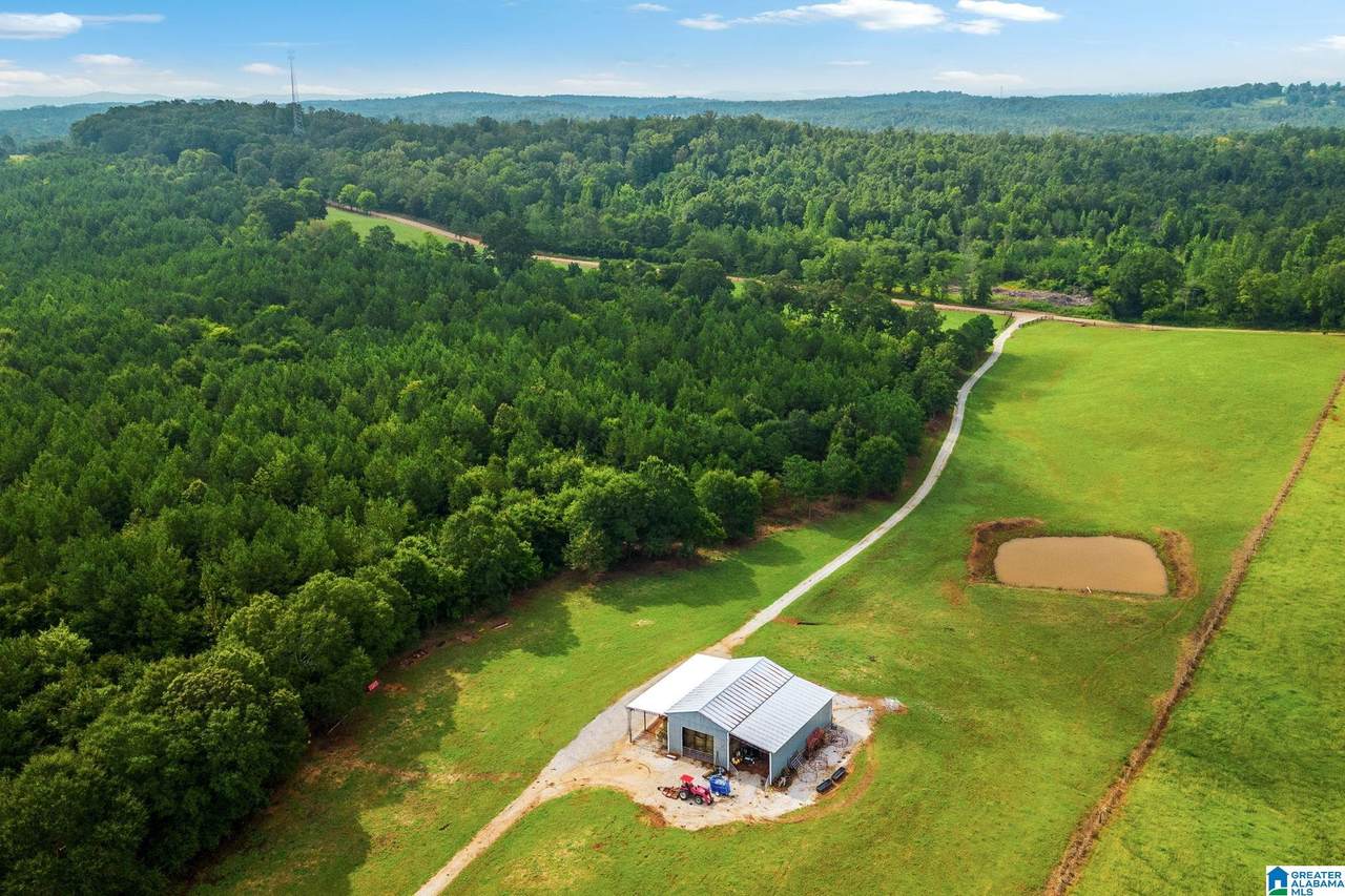 1015 Saint Mary Road - Photo 1