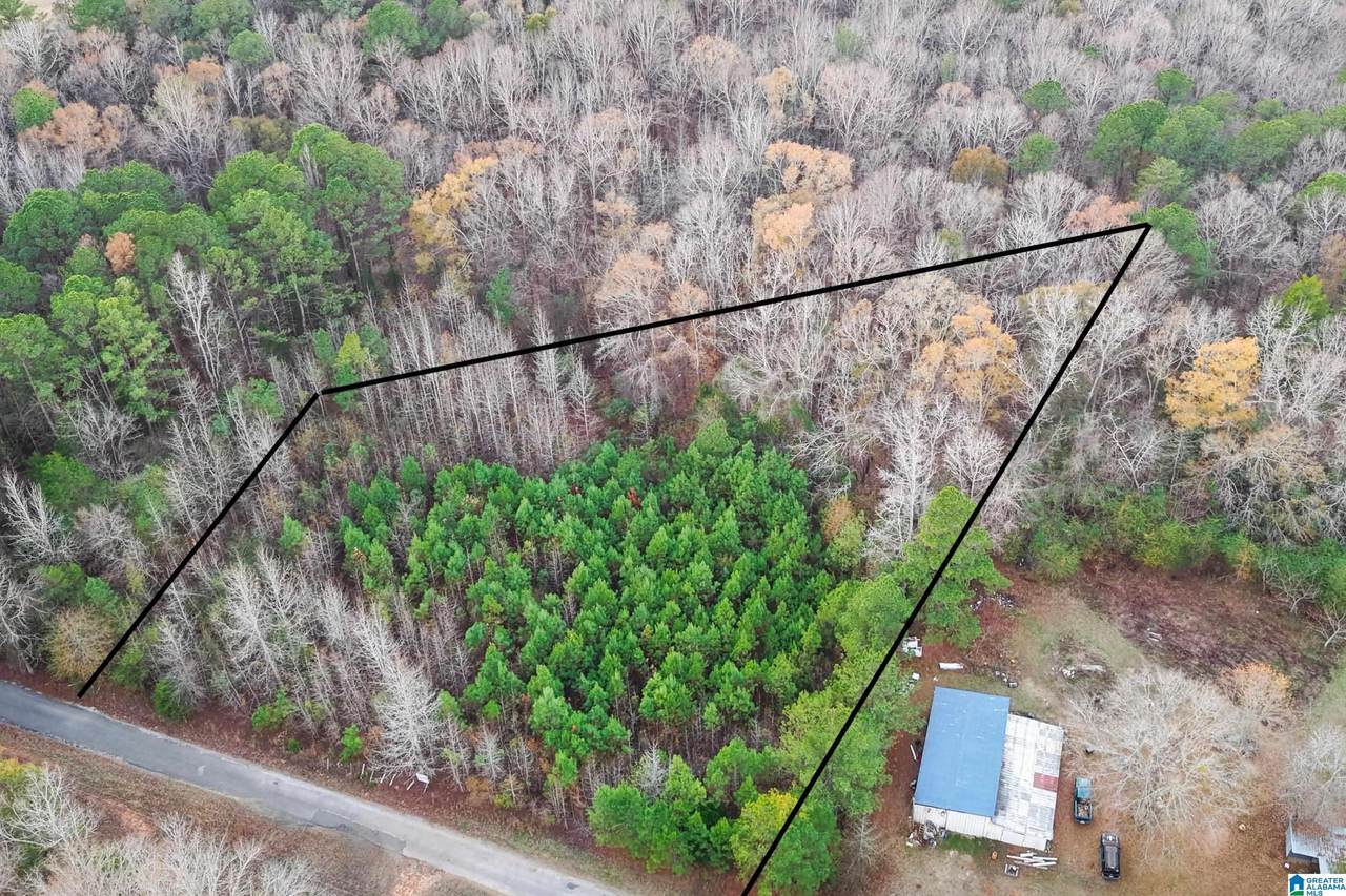 1830 Pine Tree Road - Photo 1