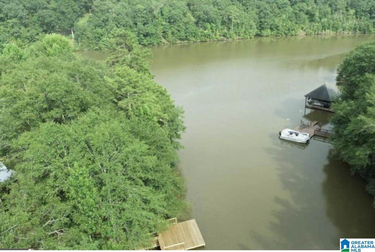 0 Ward Haven Drive - Photo 1