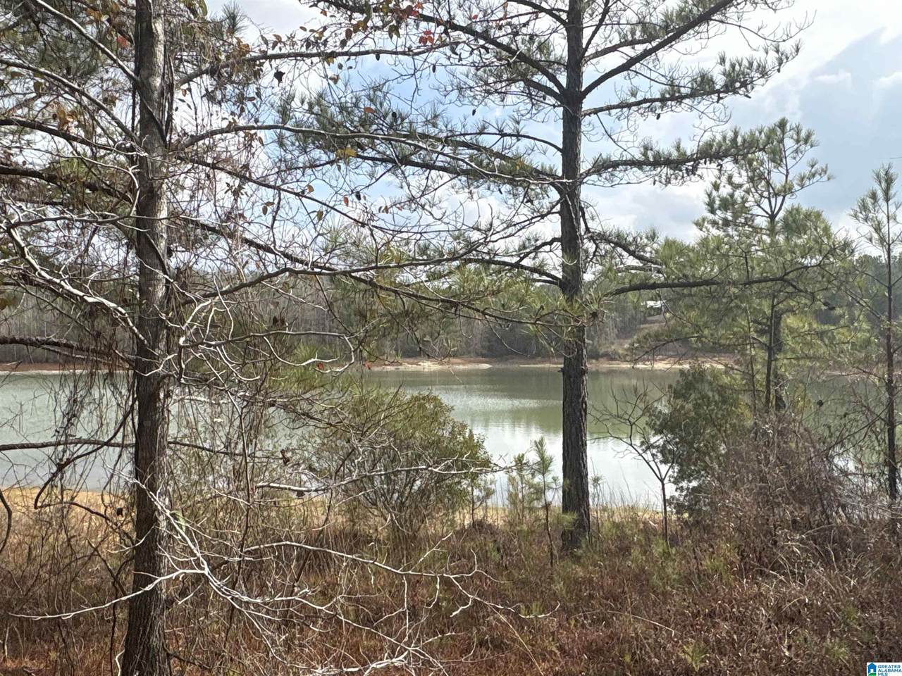 10 County Road 331 - Photo 1