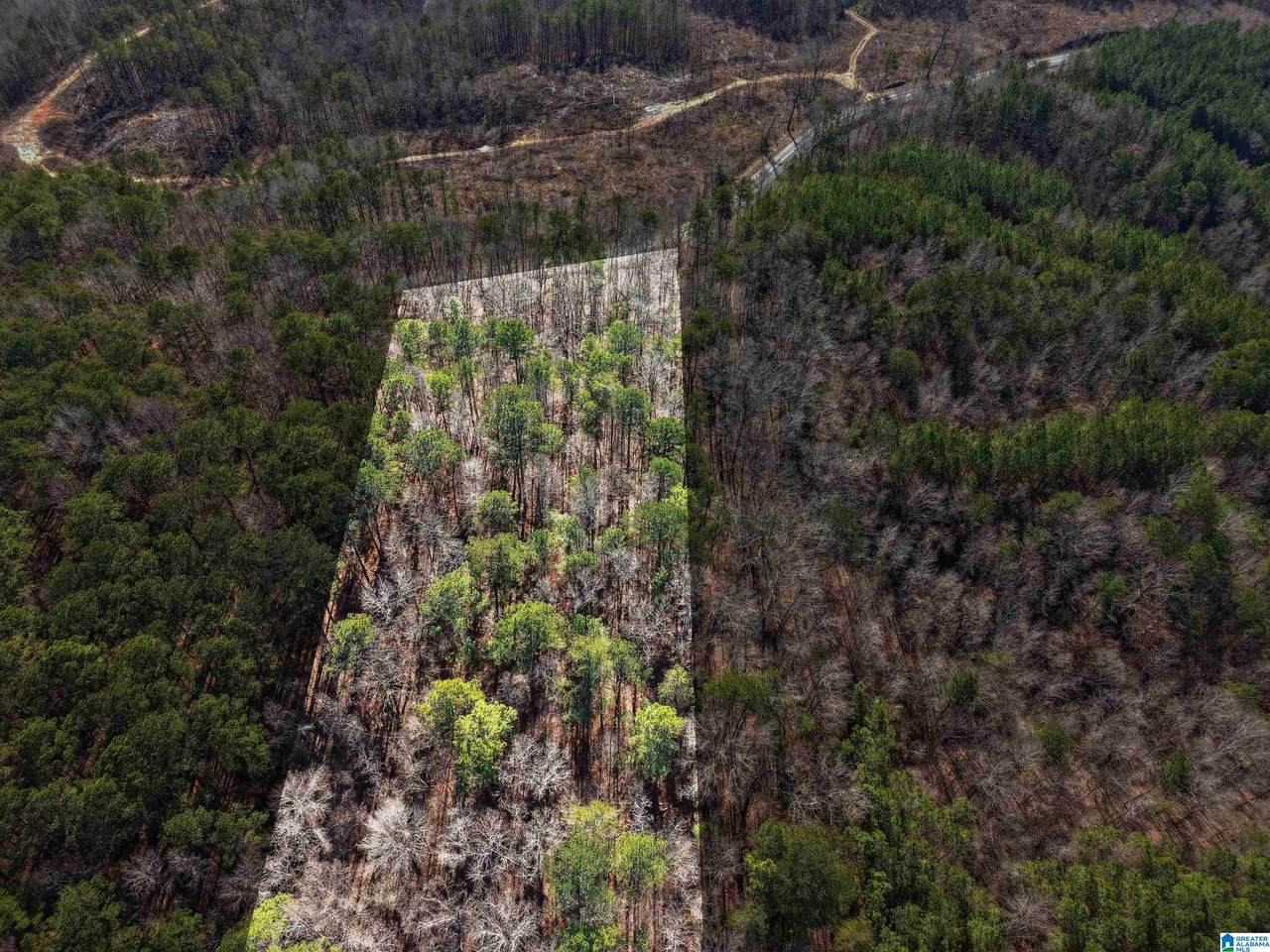 15045 Lock 17 Road - Photo 1