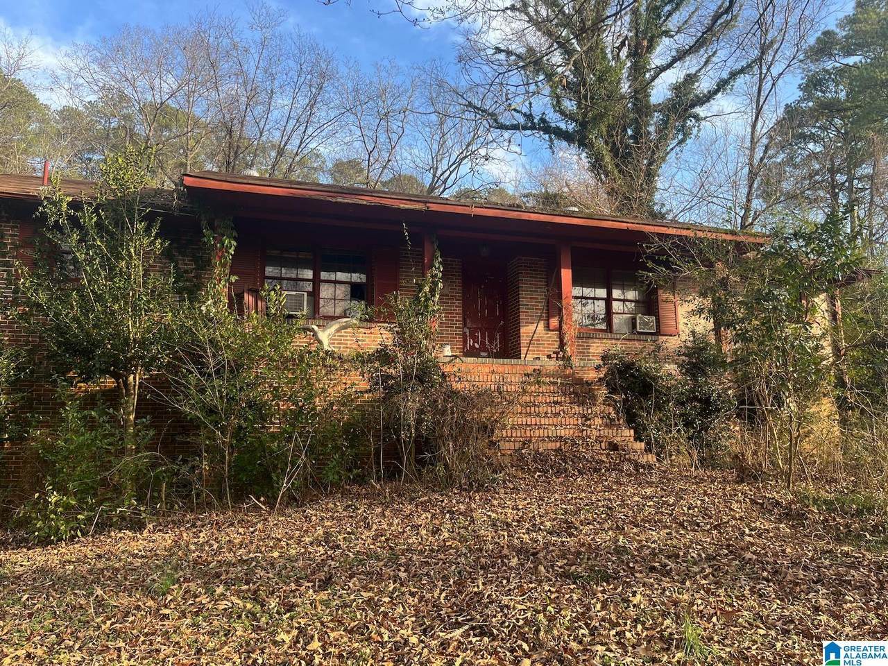 3456 Blueberry Lane - Photo 1