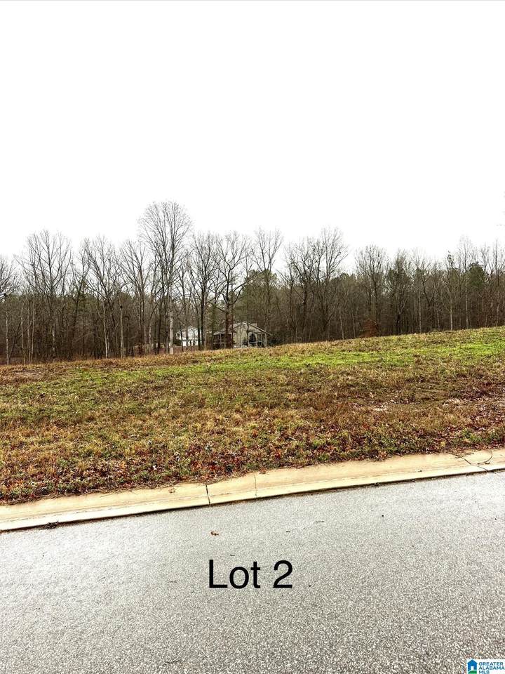 85 Olivia Lane - Photo 1