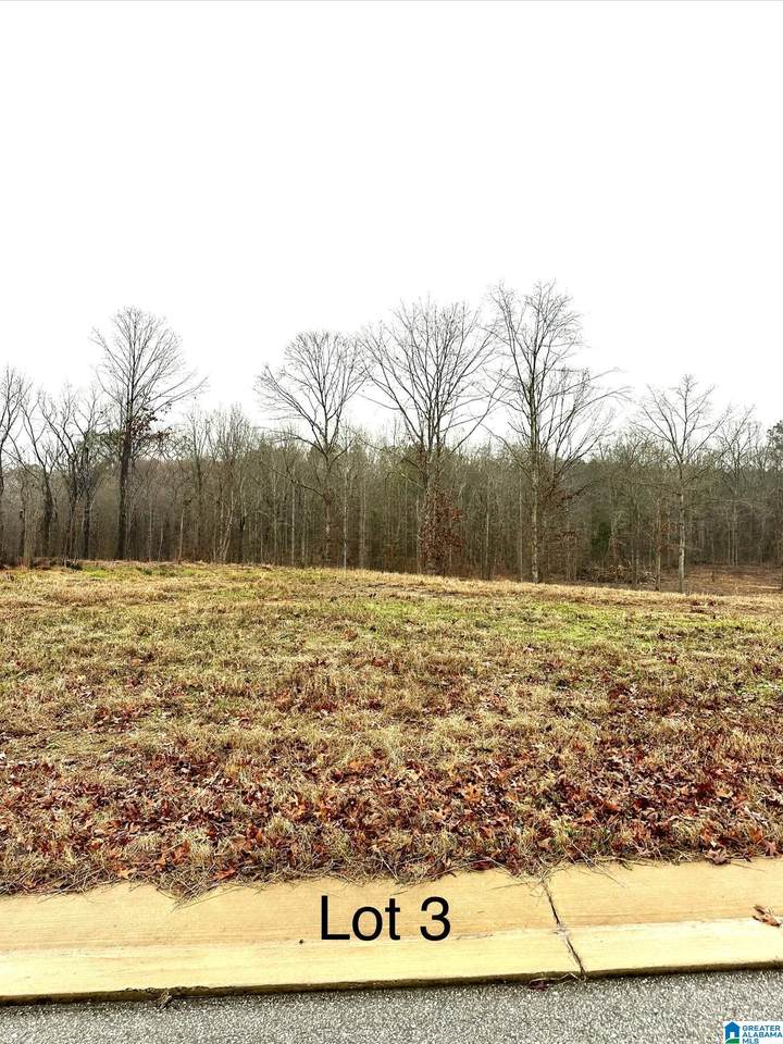 97 Olivia Lane - Photo 1