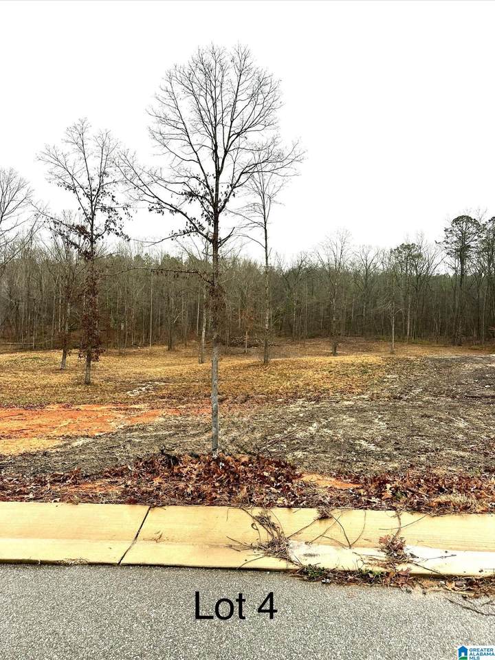 107 Olivia Lane - Photo 1