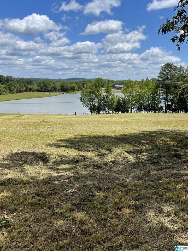 Lot 2 Myron Clark Road - Photo 1