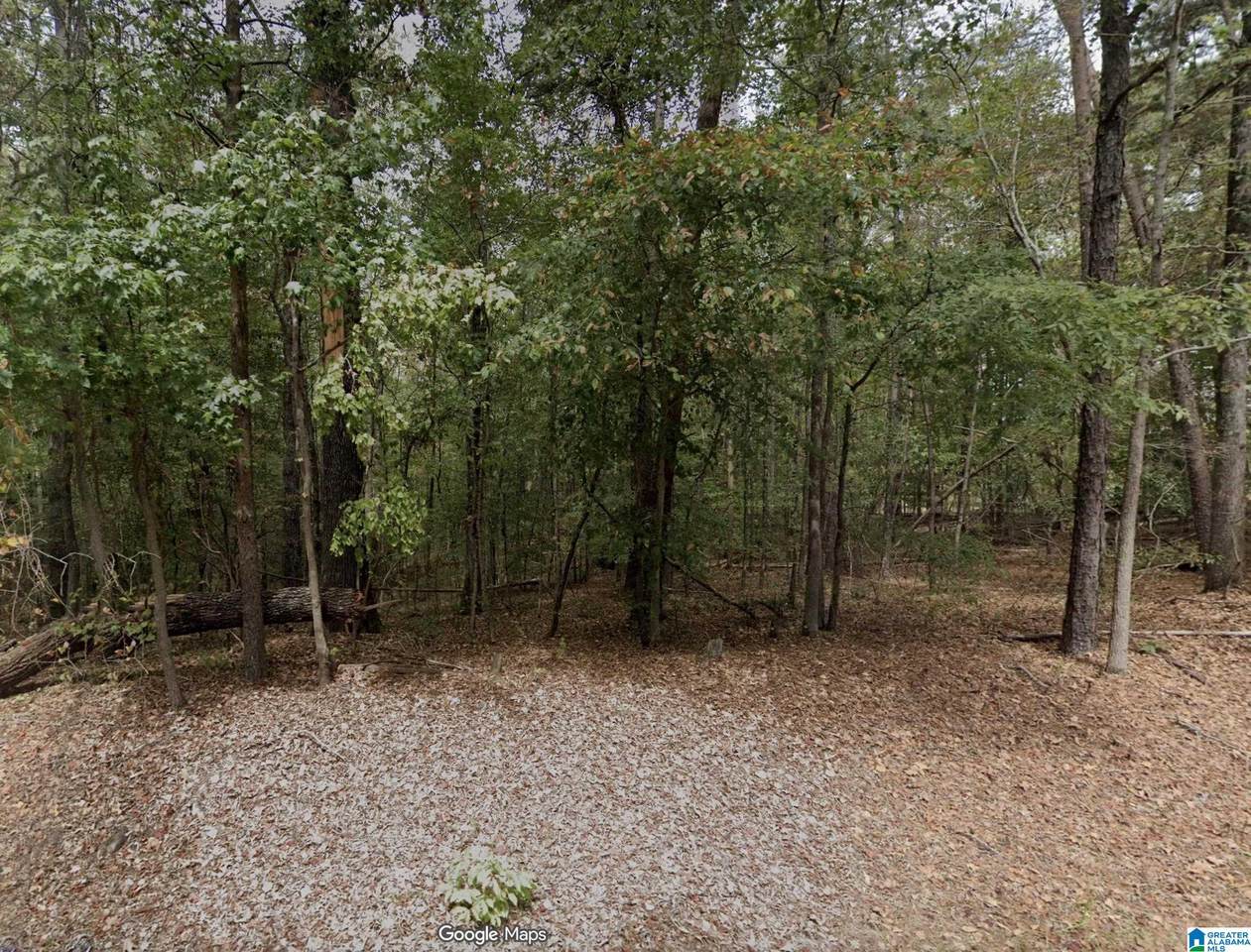 15001 Lock 17 Road - Photo 1