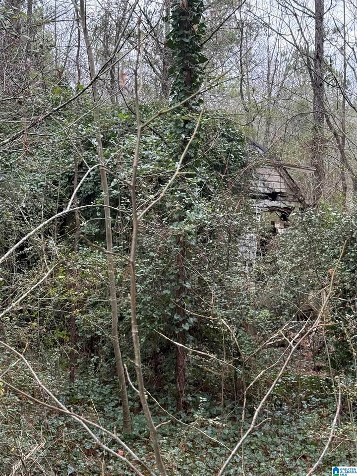 0 Hwy 91 - Photo 1