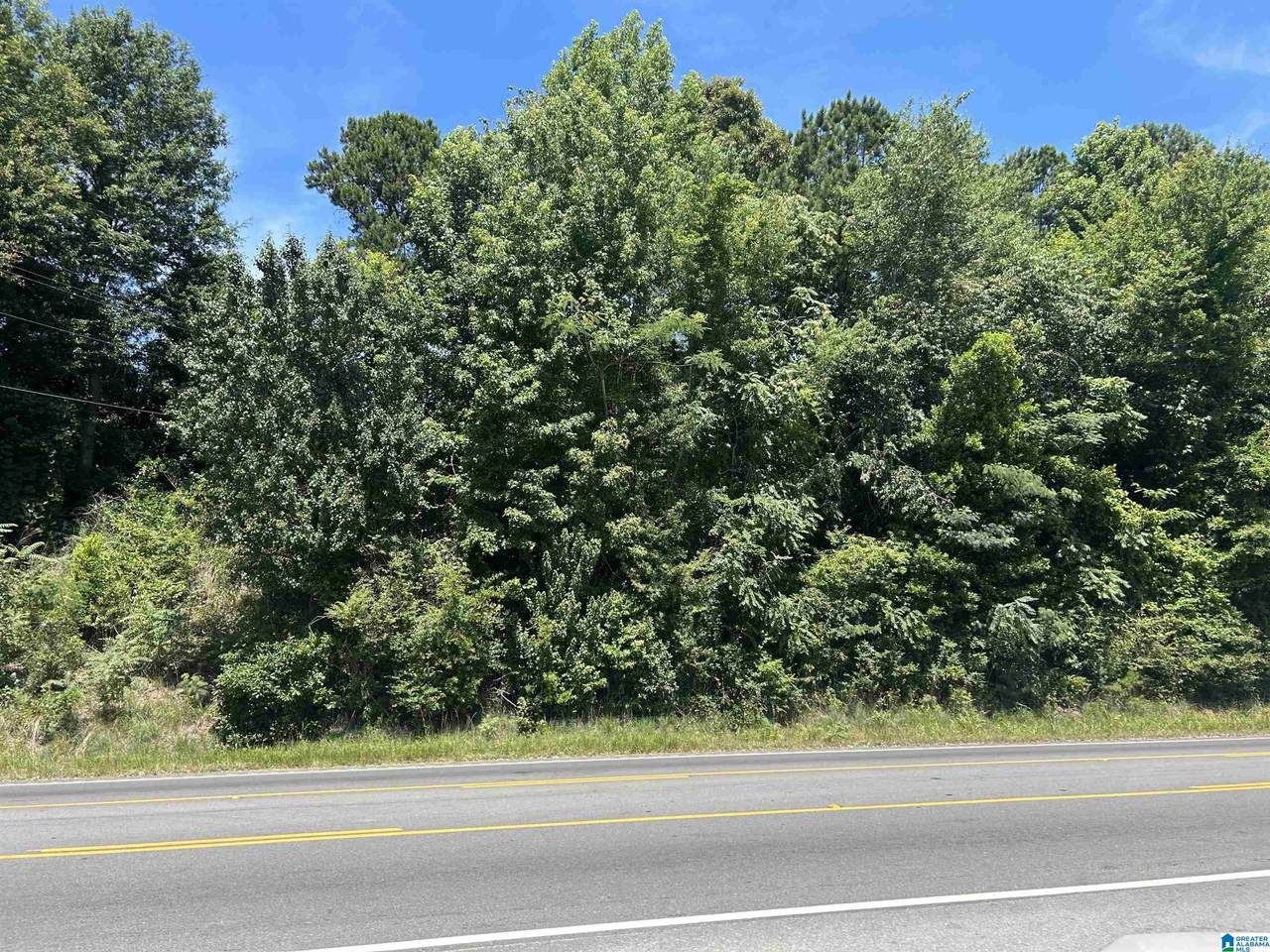 0 Highway 431 - Photo 1