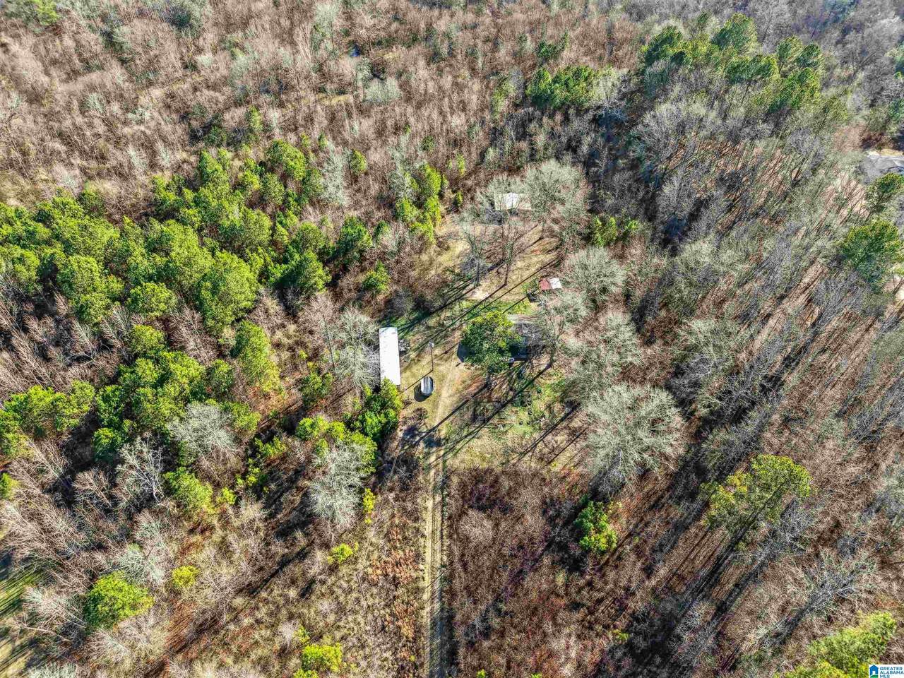 1500 Shoal Creek Road - Photo 1