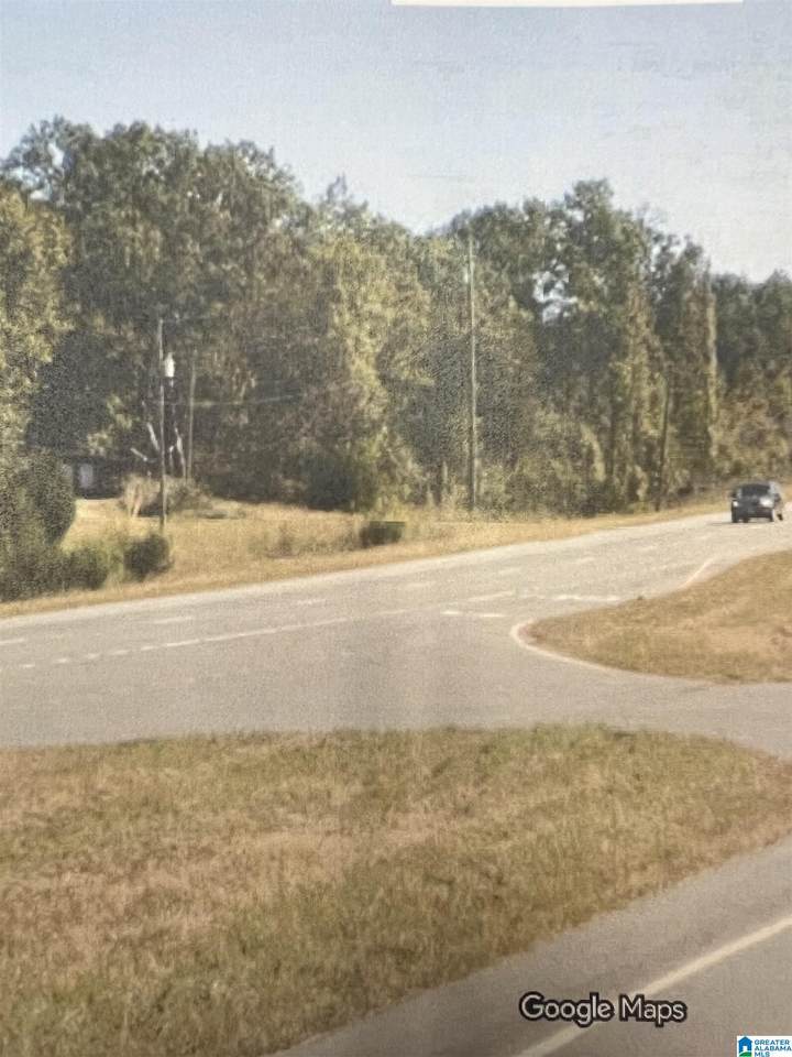 0 Alabama Highway 157 - Photo 1