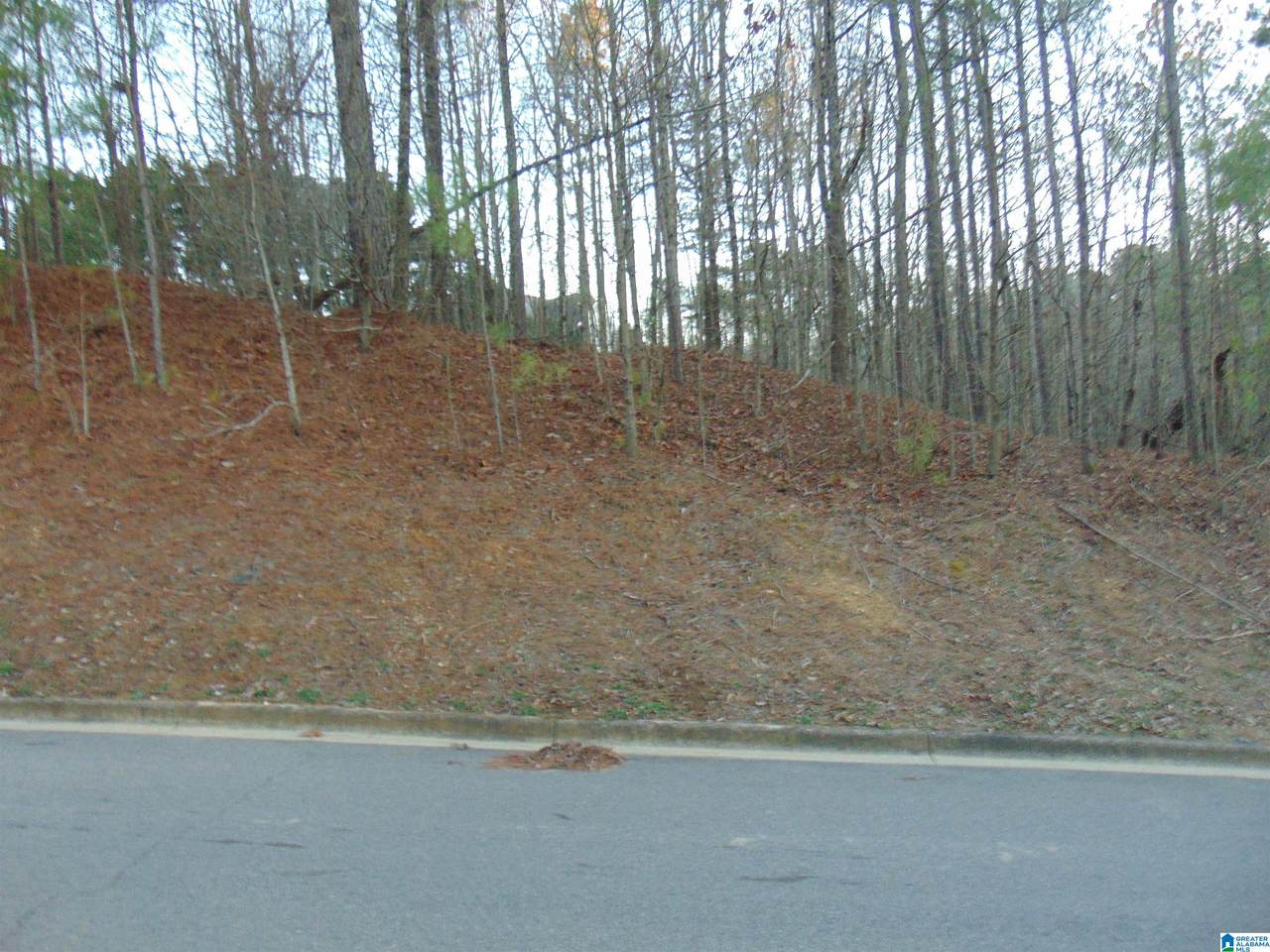 https://bt-photos.global.ssl.fastly.net/birmingham/1280_boomver_1_21440978-2.jpg