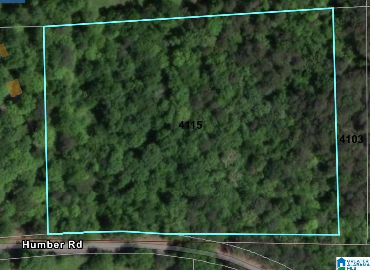 4115 Humber Road - Photo 1