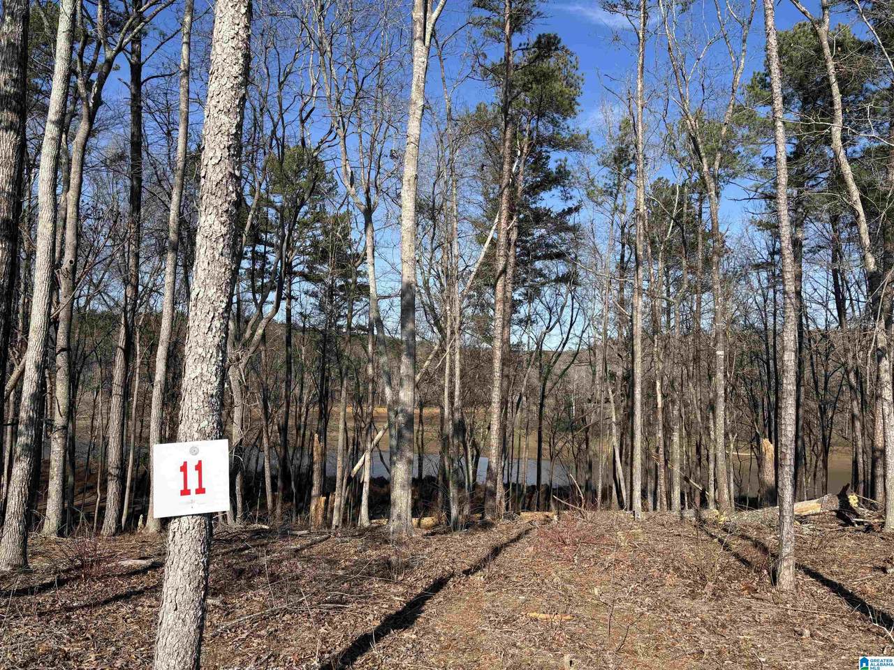 Lot 11 County Road 499 - Photo 1