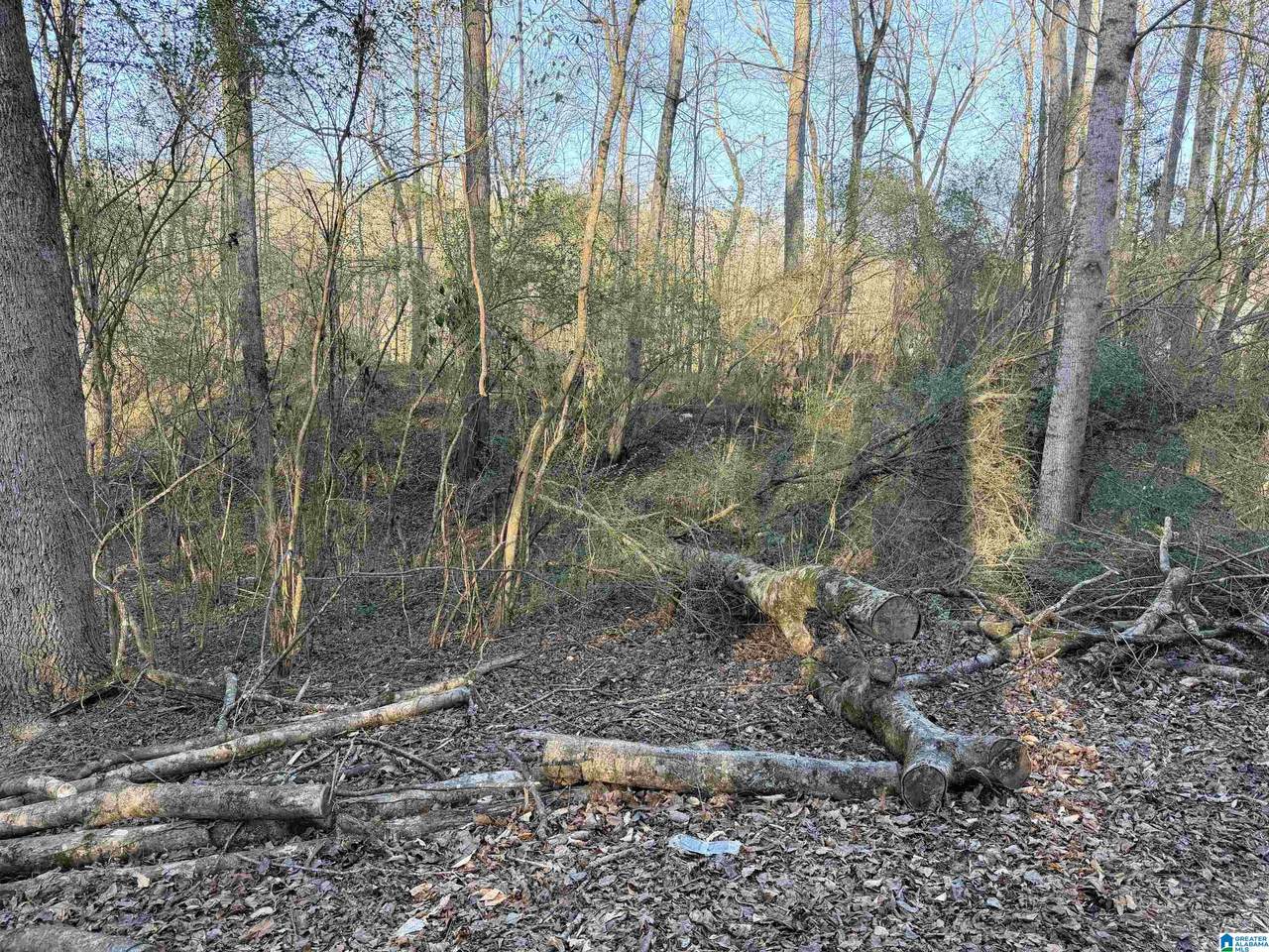 001 Scott Road - Photo 1
