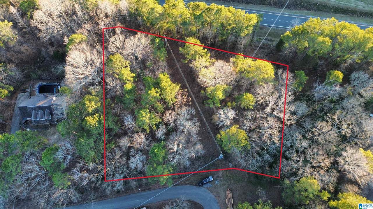 0 Old Rockford Road - Photo 1