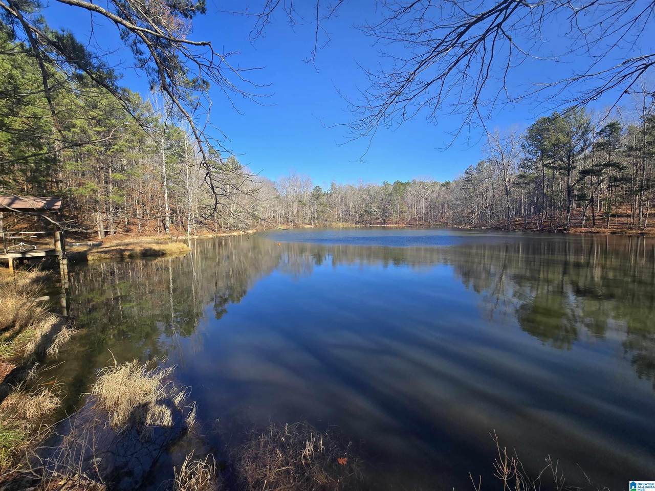 983 County Road 59 - Photo 1