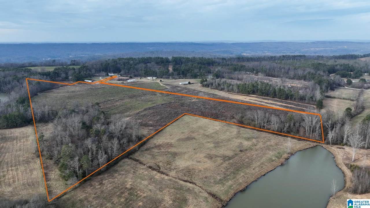 0 County Road 42 - Photo 1
