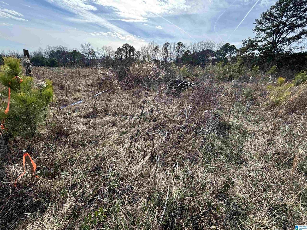 https://bt-photos.global.ssl.fastly.net/birmingham/1280_boomver_1_21442134-2.jpg