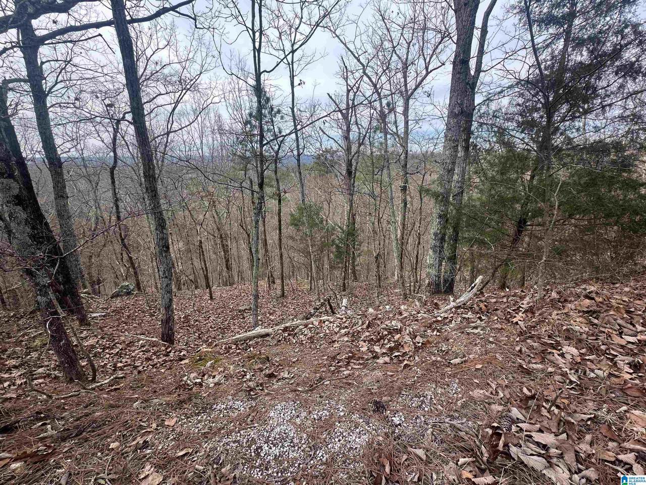 0 Long Leaf Trail - Photo 1