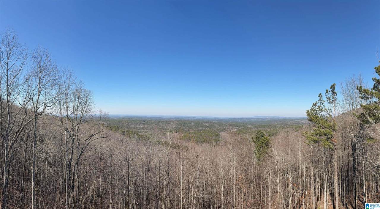 1190 Skyway Drive - Photo 1