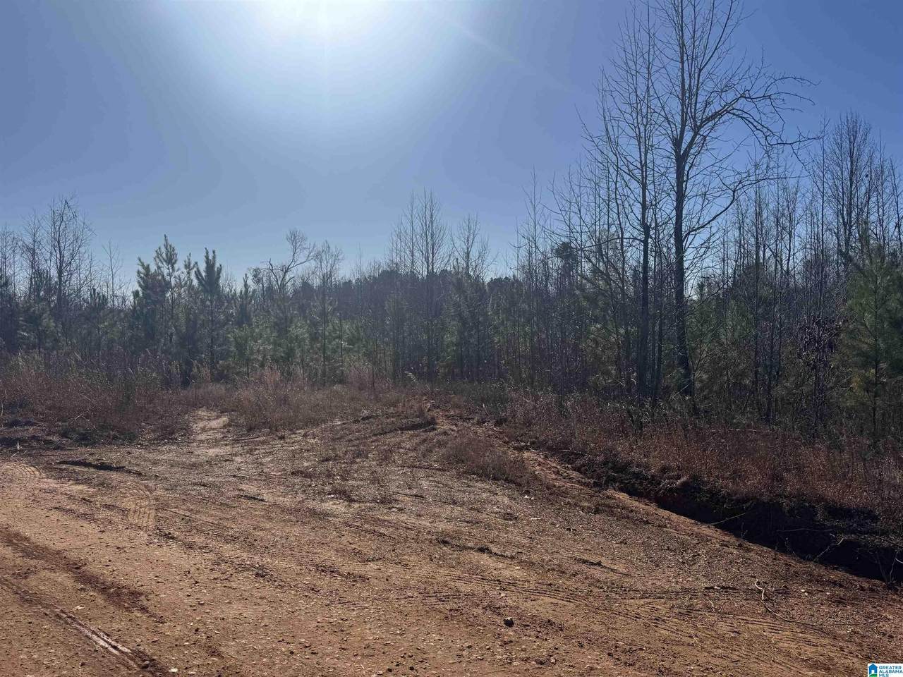 1661 County Road 637 - Photo 1