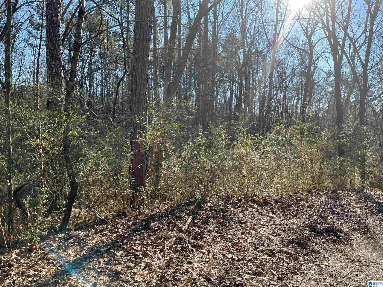 6123 Alexandria Jacksonville Highway - Photo 1