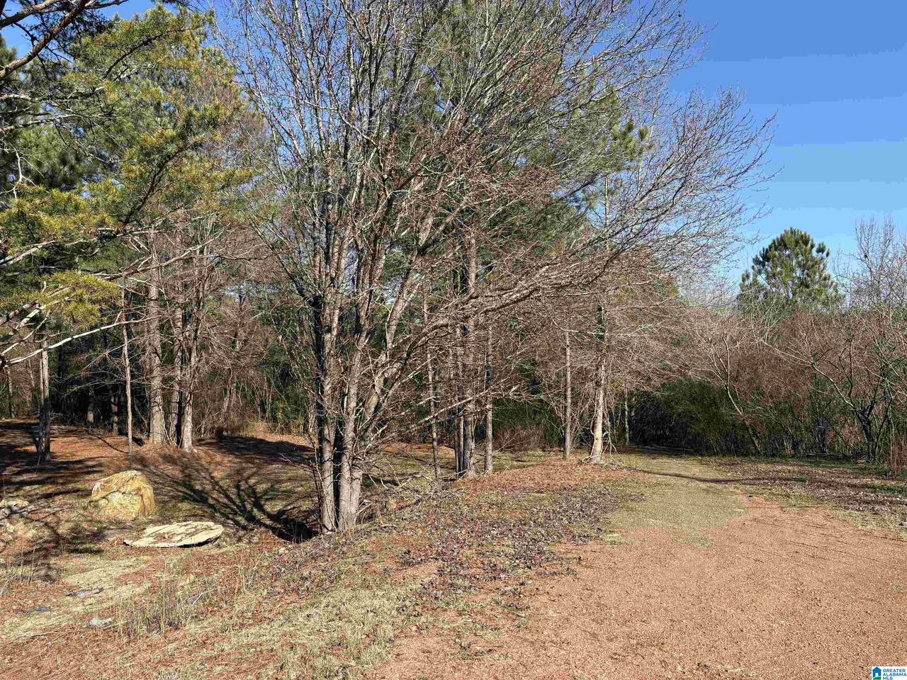 0 Lora Lane - Photo 1