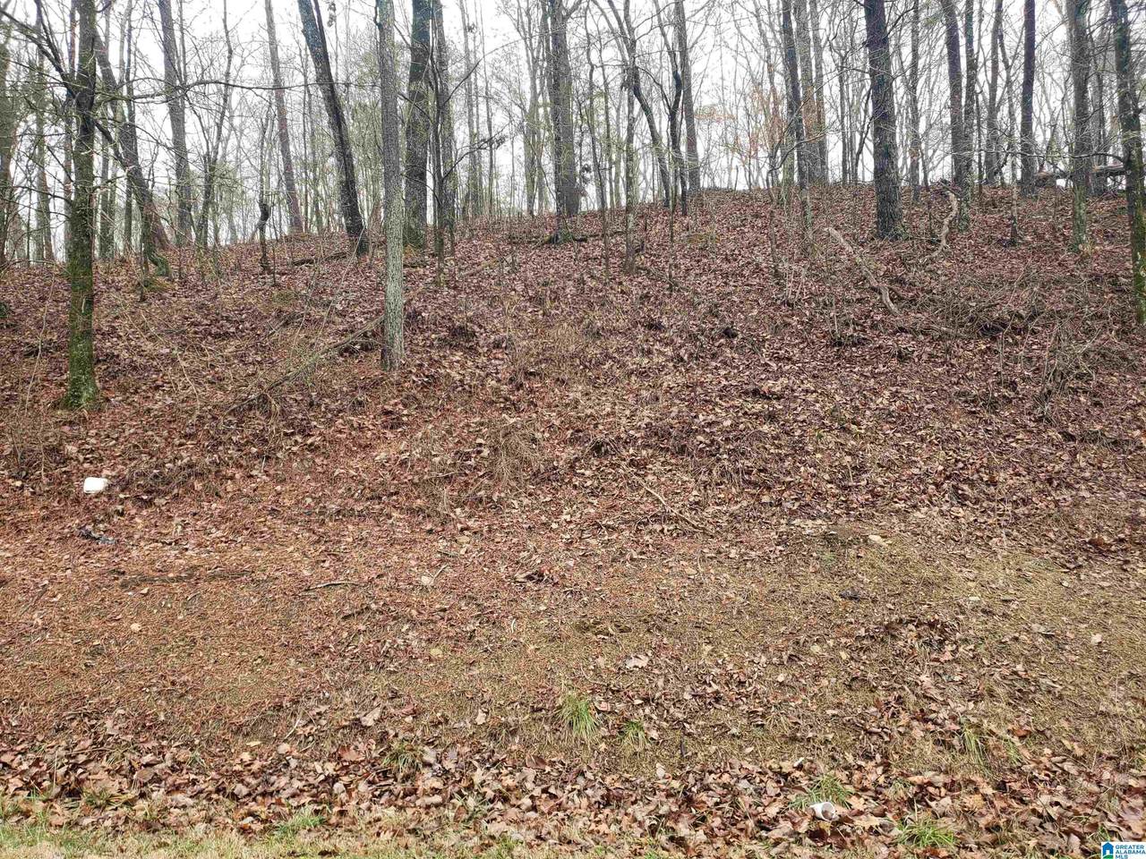 4480 Shady Grove Road - Photo 1