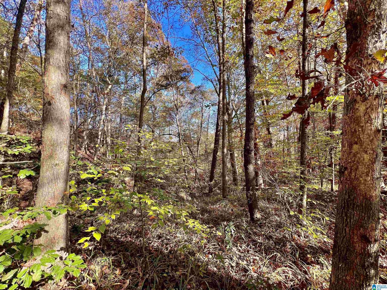 00000 North River Circle - Photo 1
