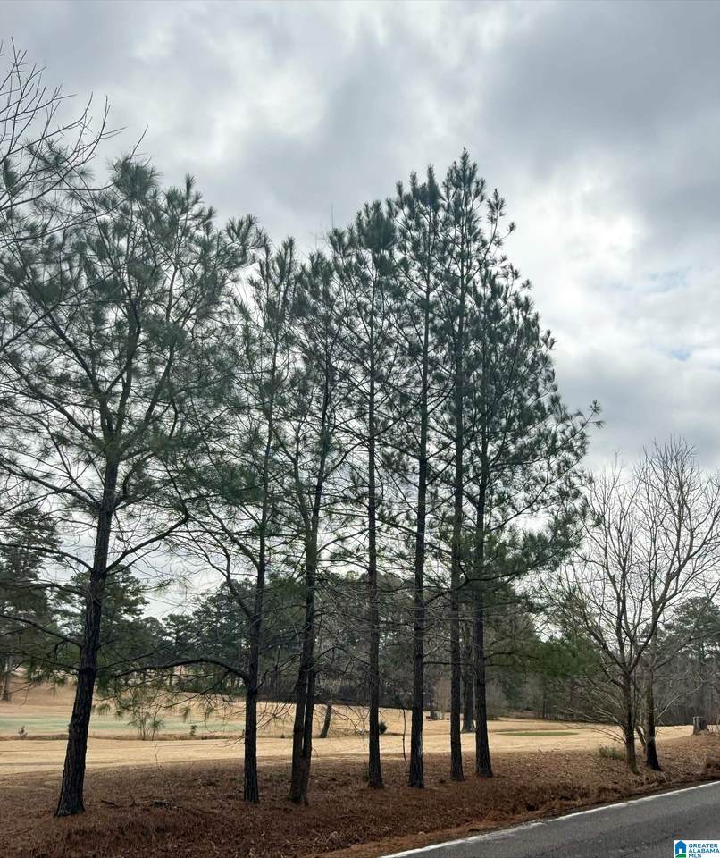9040 Marsh Mountain Road - Photo 1