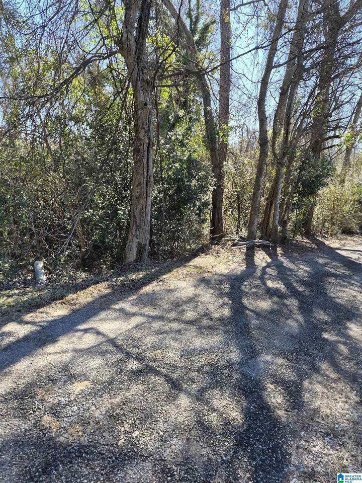 348 Happy Lane - Photo 1