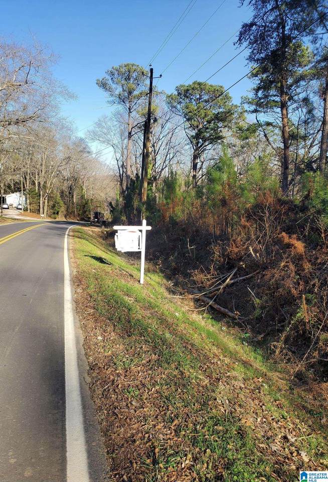 385 Highway 260 - Photo 1