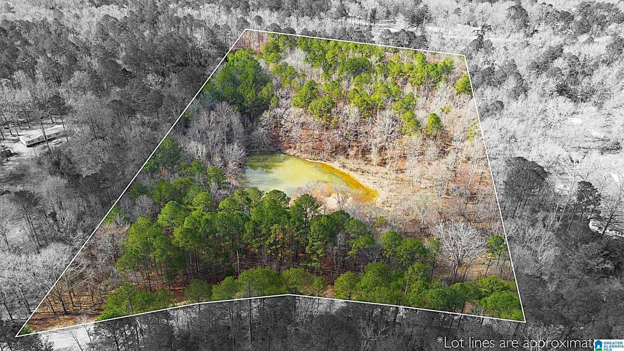 1000-1068 Camp Winnataska Road - Photo 1