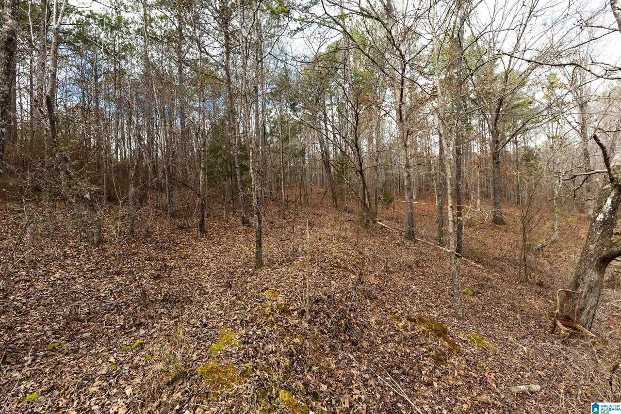 https://bt-photos.global.ssl.fastly.net/birmingham/1280_boomver_1_21444029-2.jpg