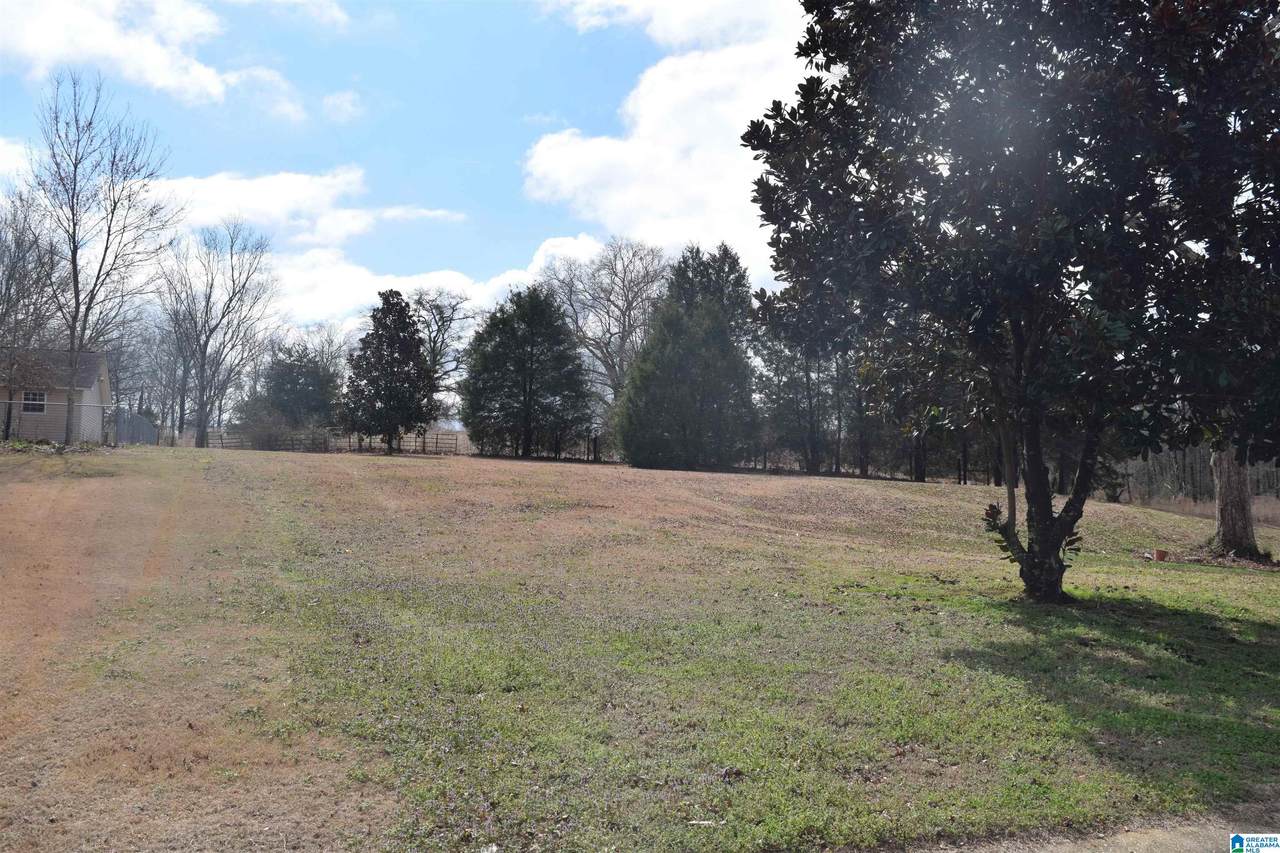 22213 Sandra Lane - Photo 1