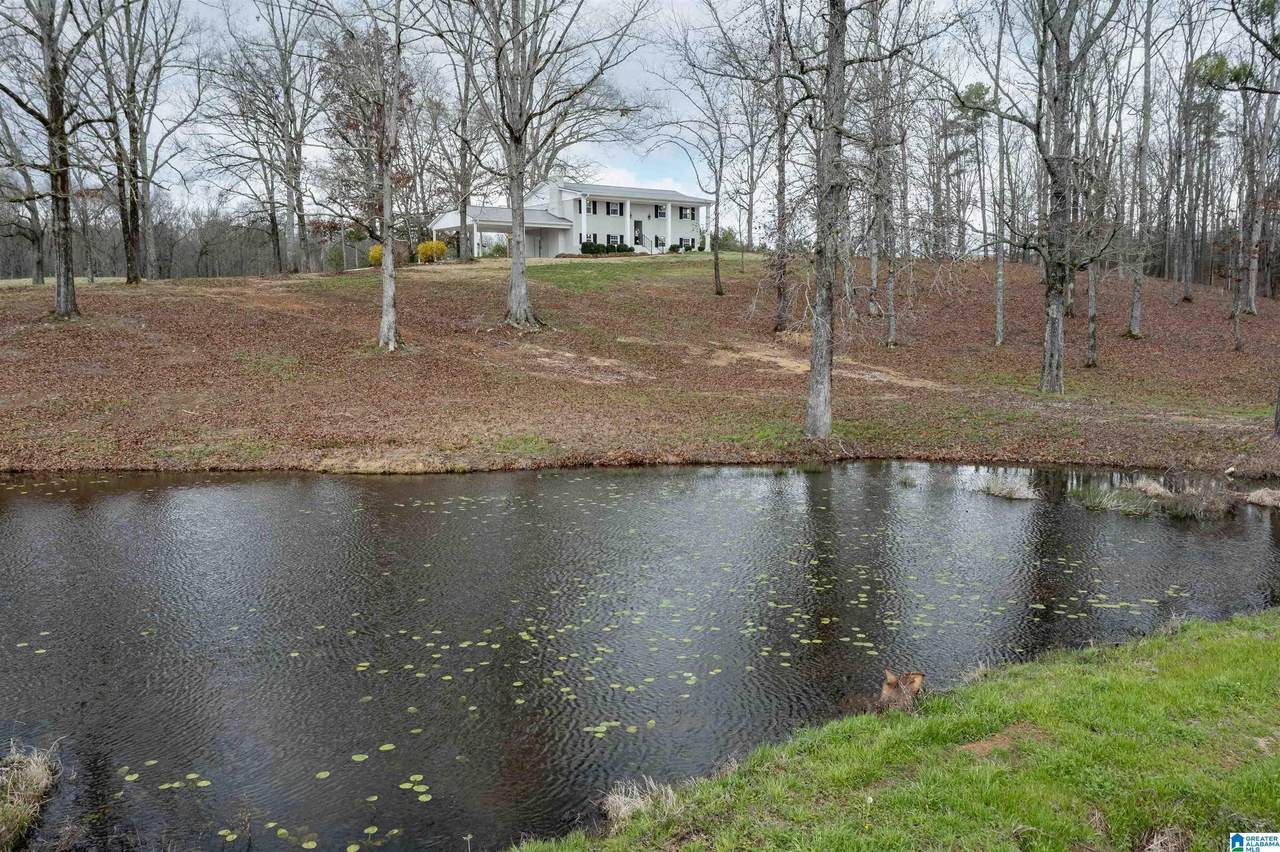 3060 Highway 47 - Photo 1