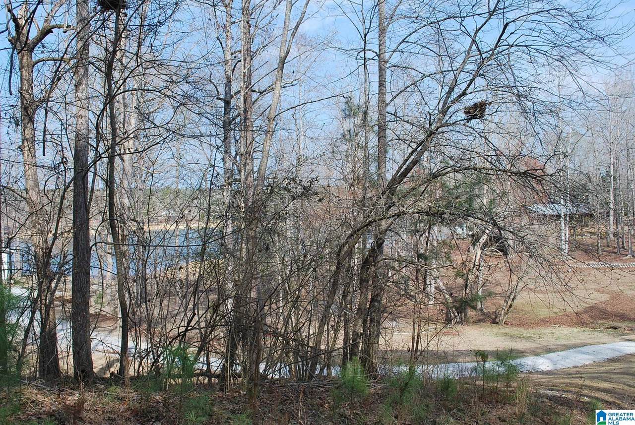  County Road 8023 - Photo 1
