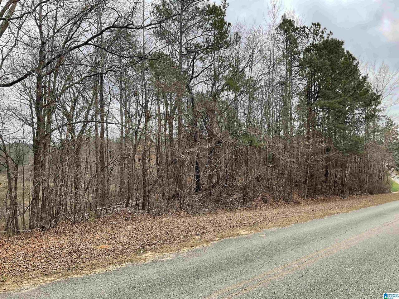 0 County Road 5 - Photo 1