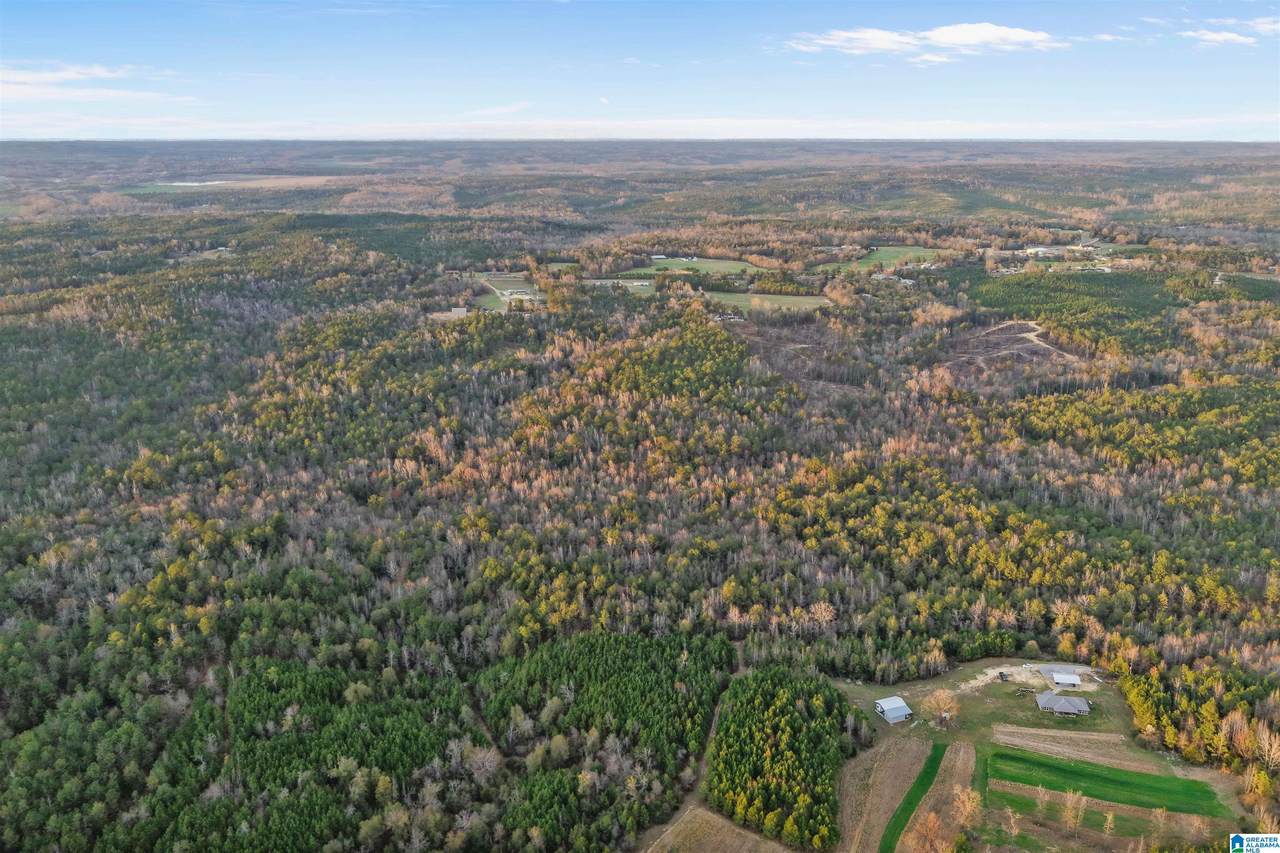  County Road 328 - Photo 1