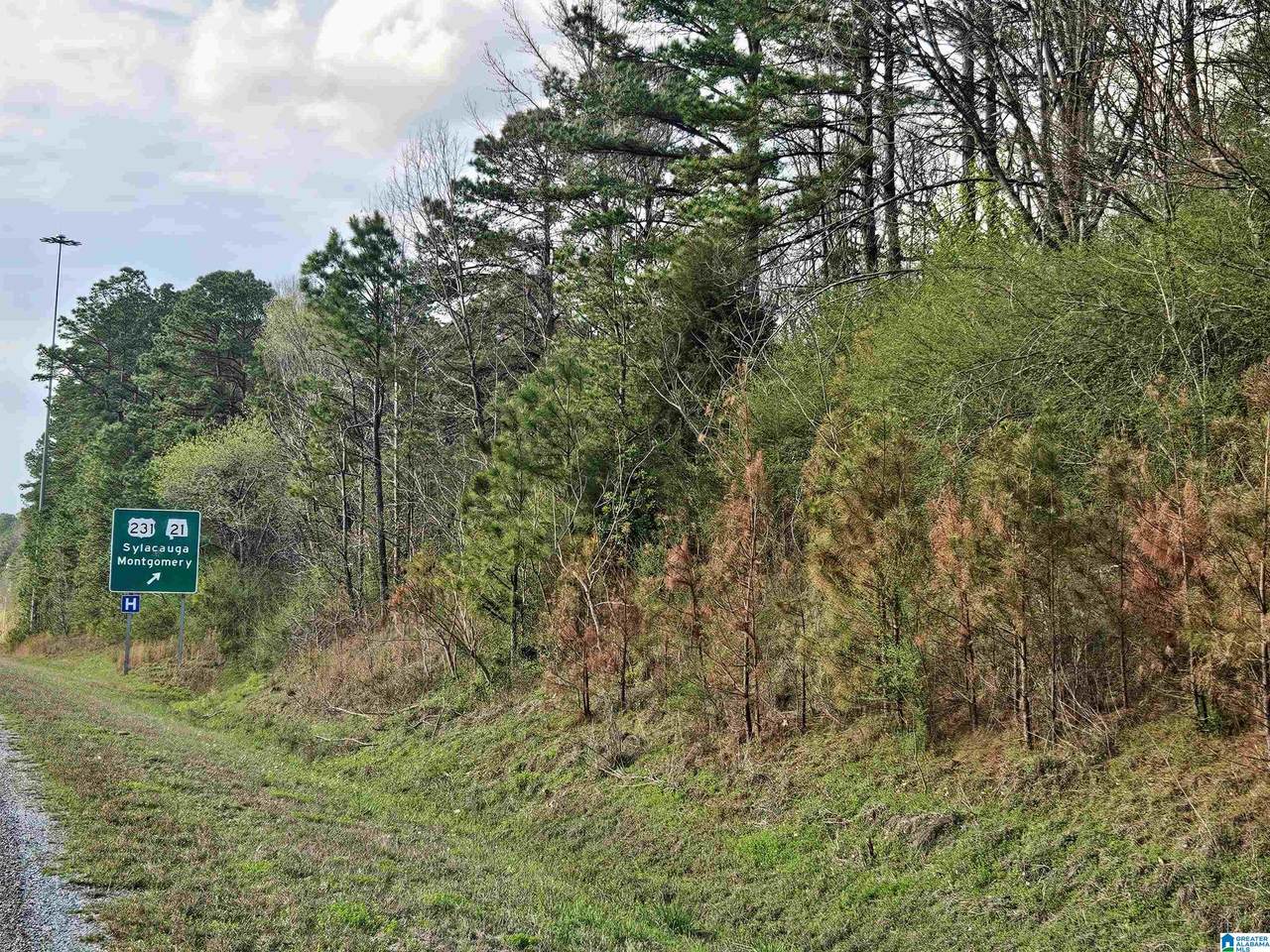 0 Highway 280 - Photo 1
