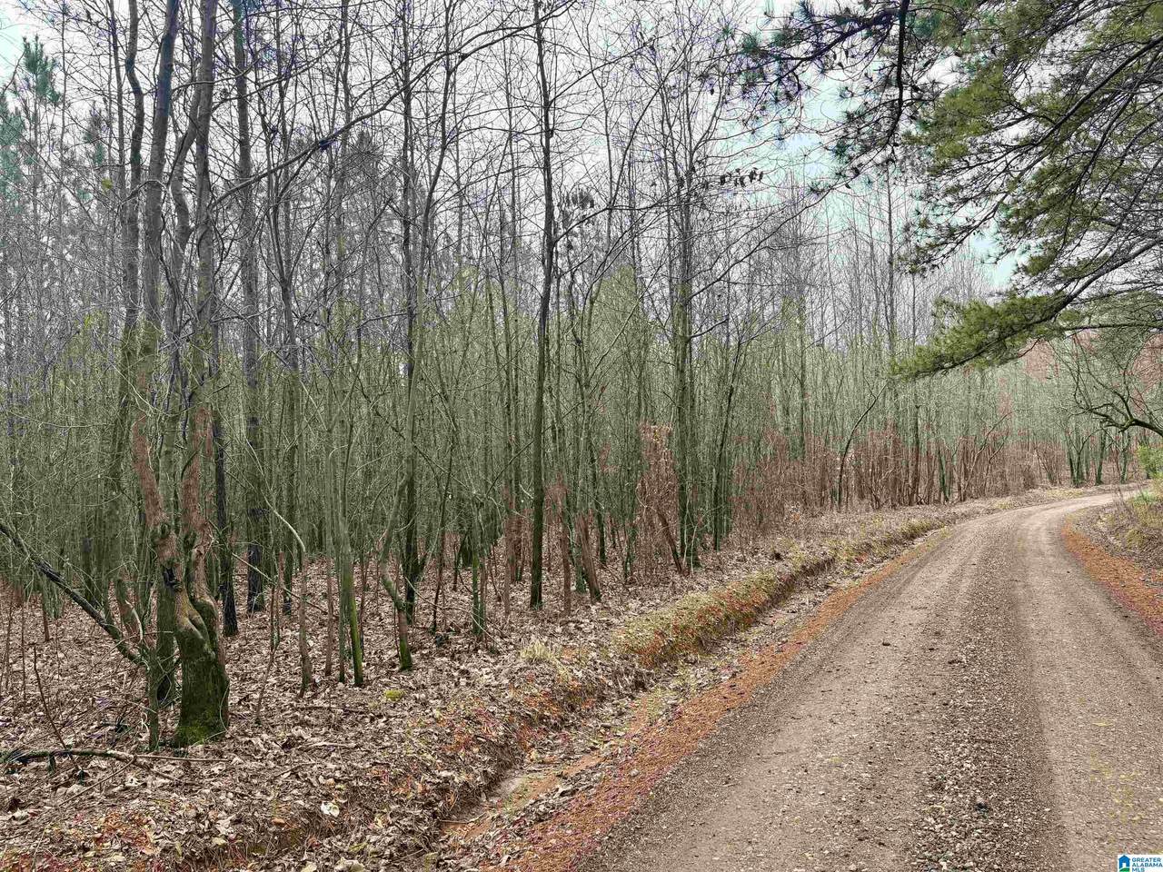 0 County Road 670 - Photo 1