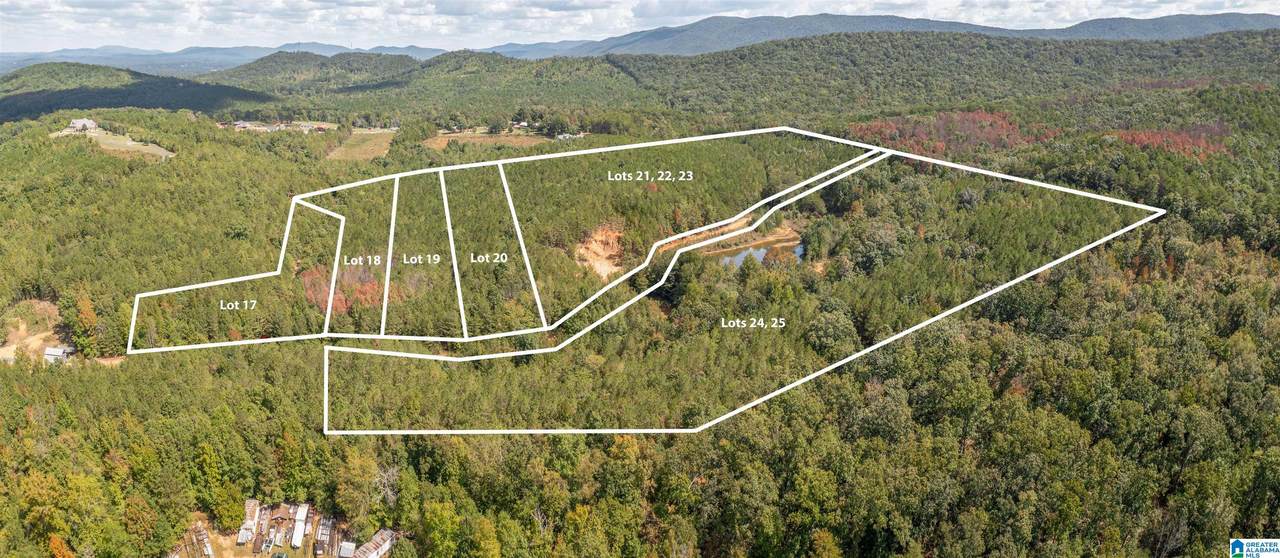 4 Acres Forest Edge Lane - Photo 1